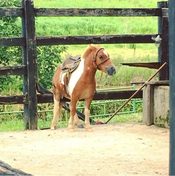 Hotel Fazenda Tucano Capim Branco Bagian luar foto