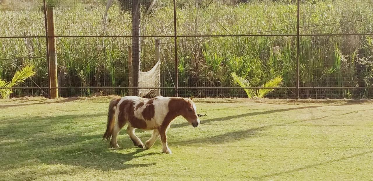 Hotel Fazenda Tucano Capim Branco Bagian luar foto